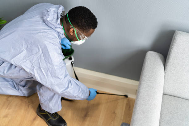 Best Fumigation Services  in Tubac, AZ